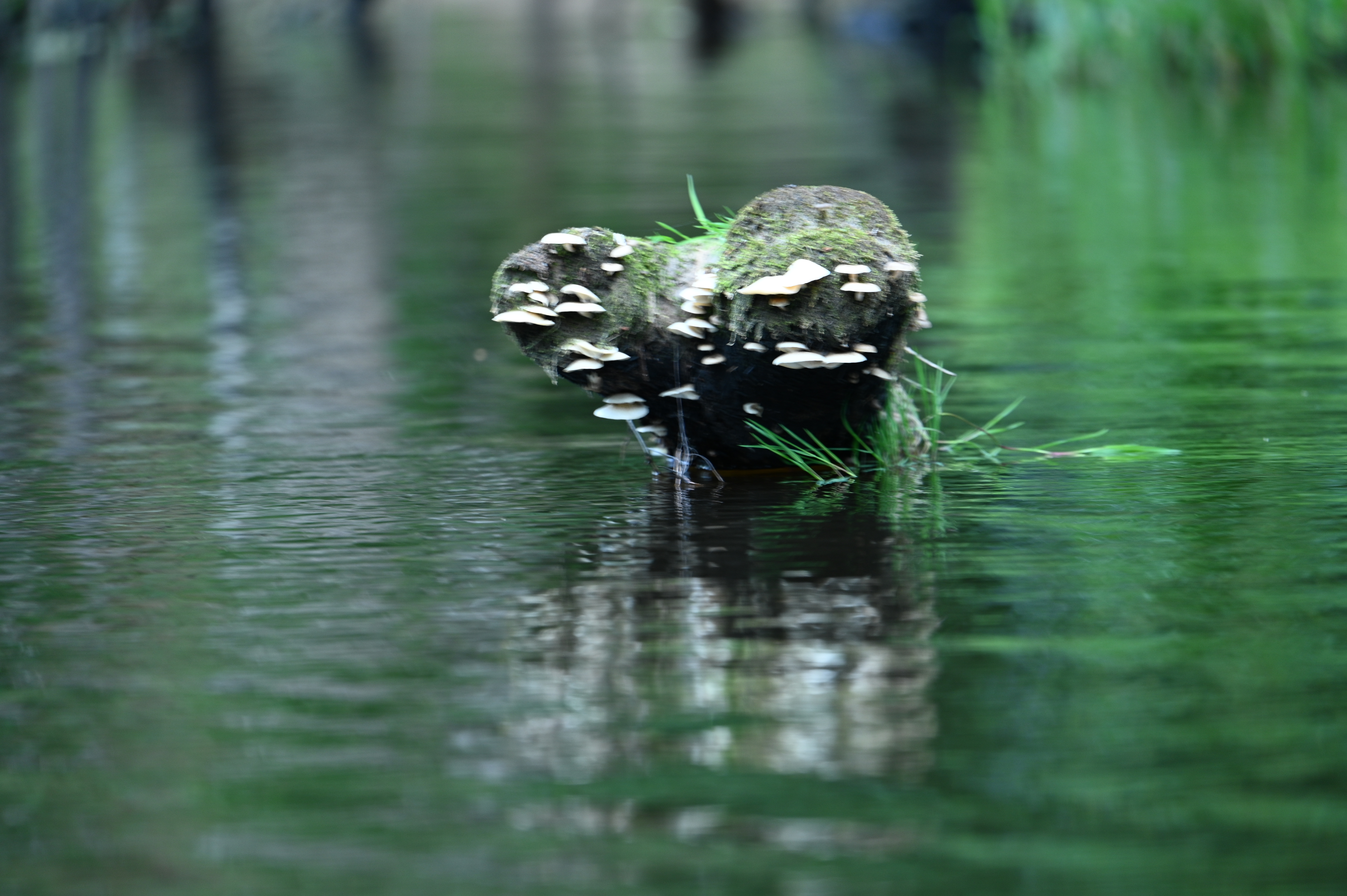 2025/07/09-14 - trip/DSC_0212.JPG